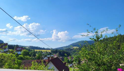 Ferienwohnung Schwarzwaldglück - Foto 2