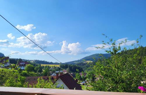 Ferienwohnung Schwarzwaldglück - Foto 2