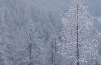 Le Grange Apartments - Direct Ski Access - Foto 20