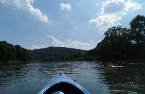 Zakole Sanu - Foto 12