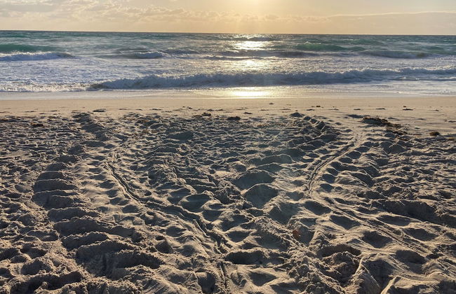 Sand Dune Shores - Photo 50