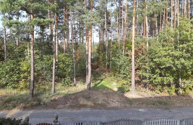 A Wooden, Eco-friendly House by the Goszcza Lake. Living Room, 2 Bedrooms - Foto 70