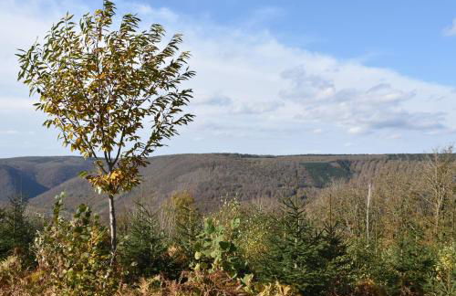 Le Gîte au bord de la Forêt - Foto 37
