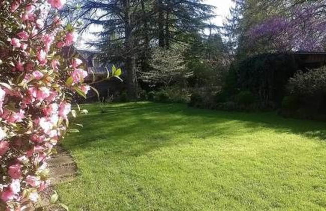 Garden Oasis Near Downtown - Photo 28