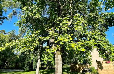 Le Village du Moulin - Foto 32