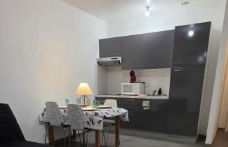 appartement cosy 1 chambre - Photo 1