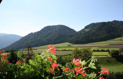 Apartments Residence Montana - Photo 33