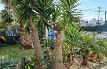 La Petite Maison du Bonheur - Foto 26