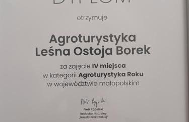 Agroturystyka Leśna Ostoja Borek - Foto 3