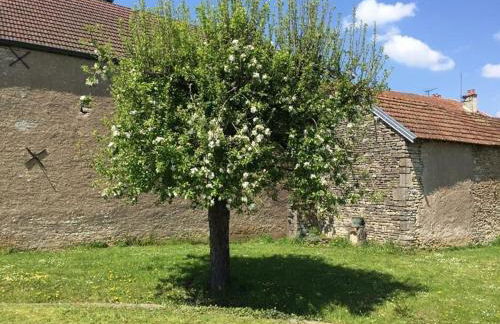 Gîte cosy et chaleureux au bord de la Saône - FR-1-583-381 - Foto 28