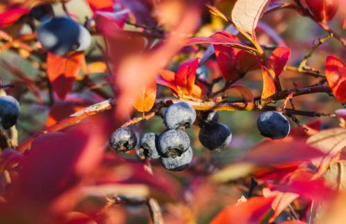 3-bedroom house for outdoor holidays - Foto 33