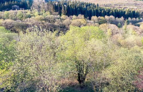 The Nest Superb Apartment In Afan Forest Bike Park By Staystaycations - Foto 37