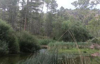 Luz de Carboneras - Foto 62