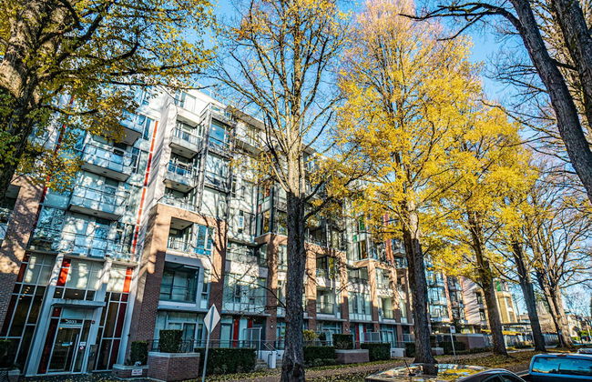 Lovely Oasis near Waterfront & Downtown - Foto 47