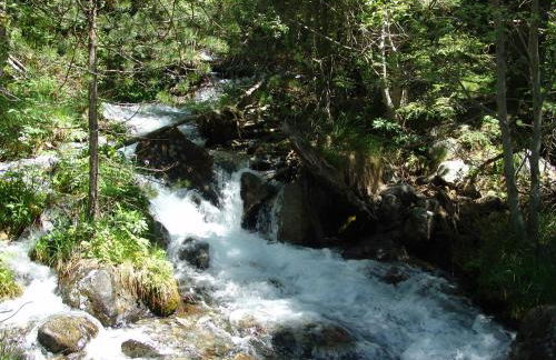 Apartamentos Estop - Foto 9