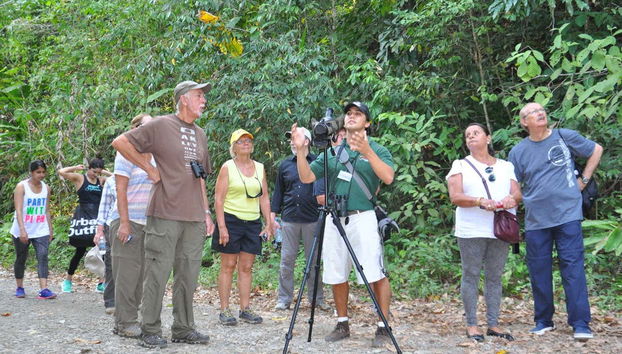 Atendiendo a las explicaciones del guía