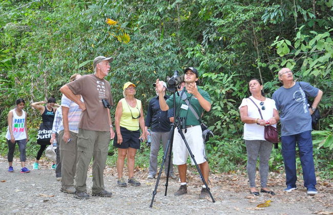 Excursión al Parque Nacional Manuel Antonio - Foto 4