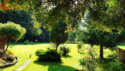 Rychwałd - Full House! - Foto 5, Garden, Garden view