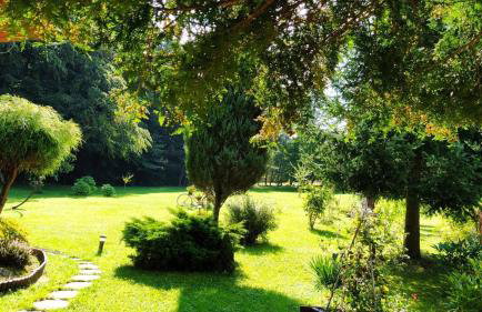 Rychwałd - Full House! - Foto 5