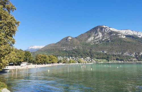 Charmant appartement à 1 minute du lac - Foto 38