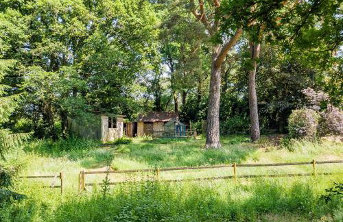 Primrose Spinney - Foto 39