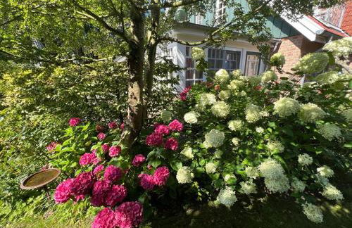 Meerlust Spiekeroog - Foto 19