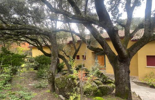 Chalet con piscina vistas y salida a parque natural - Foto 29