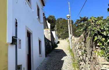 Bloom Cottage I - Sintra montain - Foto 28