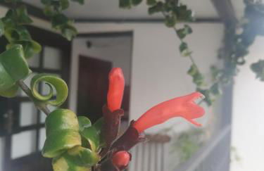 Finca Lomo Grande - Foto 46