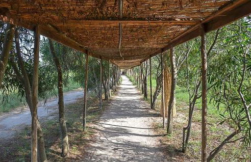 Alessidamo Trilo - Foto 12