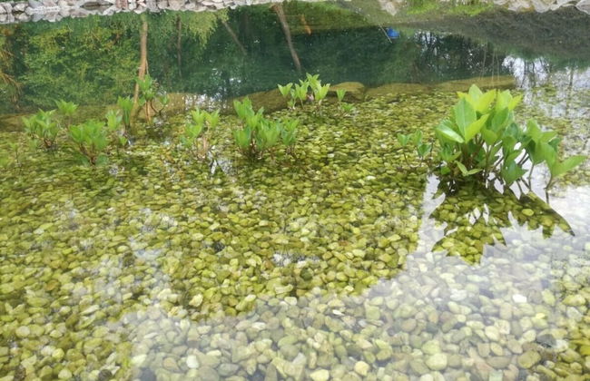 Beautiful Villa With Spacious Rooms - Foto 28