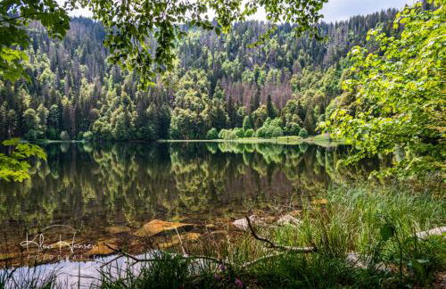 "Chalet H28" mit 4 Schlafzimmer in Todtnau-Muggenbrunn - Foto 25