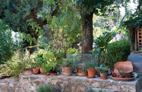 Studios Kyparissi & Spa - Photo 48