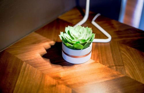 Cameron Village Modern Stylish Condo - Foto 28