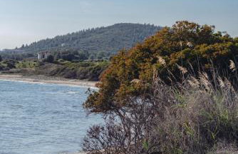 BS Village blue - Photo 38