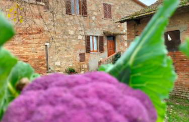 L'oca Nera - Foto 51