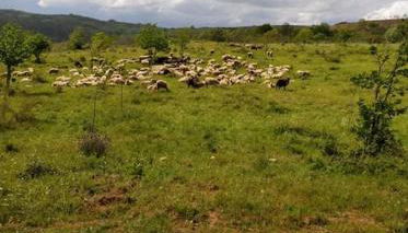 Casa de Campo - Casa da Ribeira - Foto 2