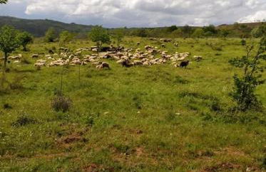 Casa de Campo - Casa da Ribeira - Foto 2