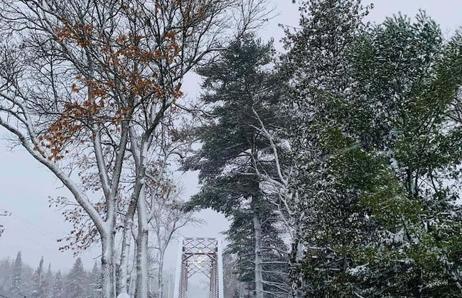 Four Seasons Island Resort - Photo 80