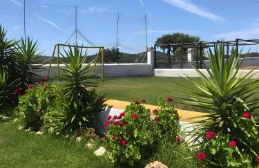 Monte dos Pintos - Foto 11