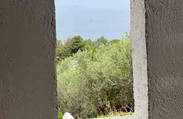 Thalia Bloom Villa Apartments - Foto 109