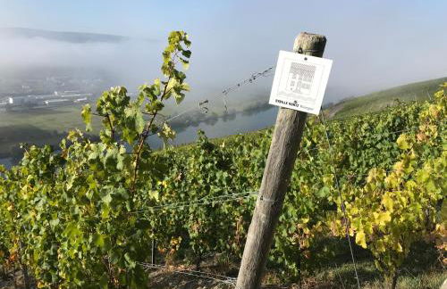 SYBILLE KUNTZ Weingut Gästehaus - Foto 25