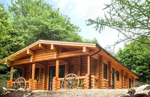 Wilderness Lodge - Foto 23