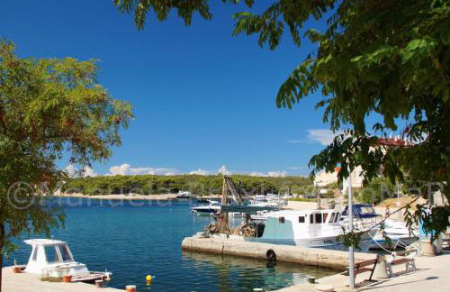 Olive House - Foto 13