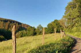 Maries bunte Villa - Foto 28