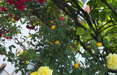 Apartments Žegarac House - Foto 37