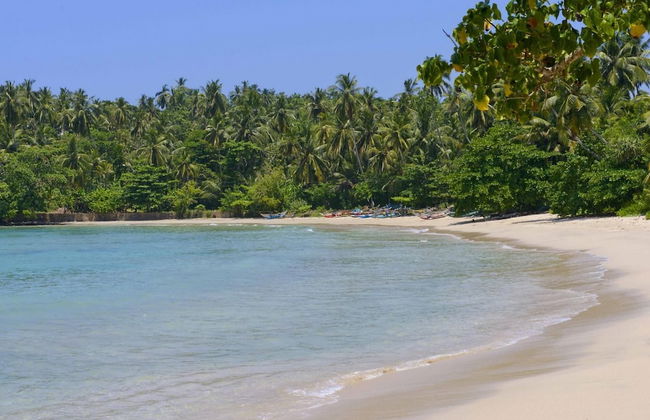 Elevated Family Beach House With Ocean Views - Foto 30