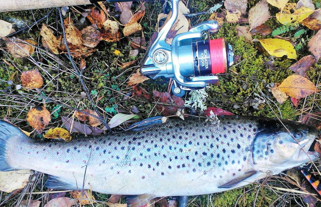 Tranquil Retreat in Halsingland-by Traum - Photo 5