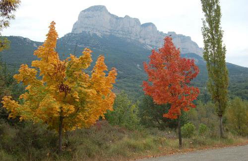 Apartamentos Borda Falceto - Foto 14