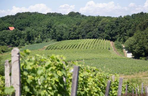 Pension Kezele - Foto 58